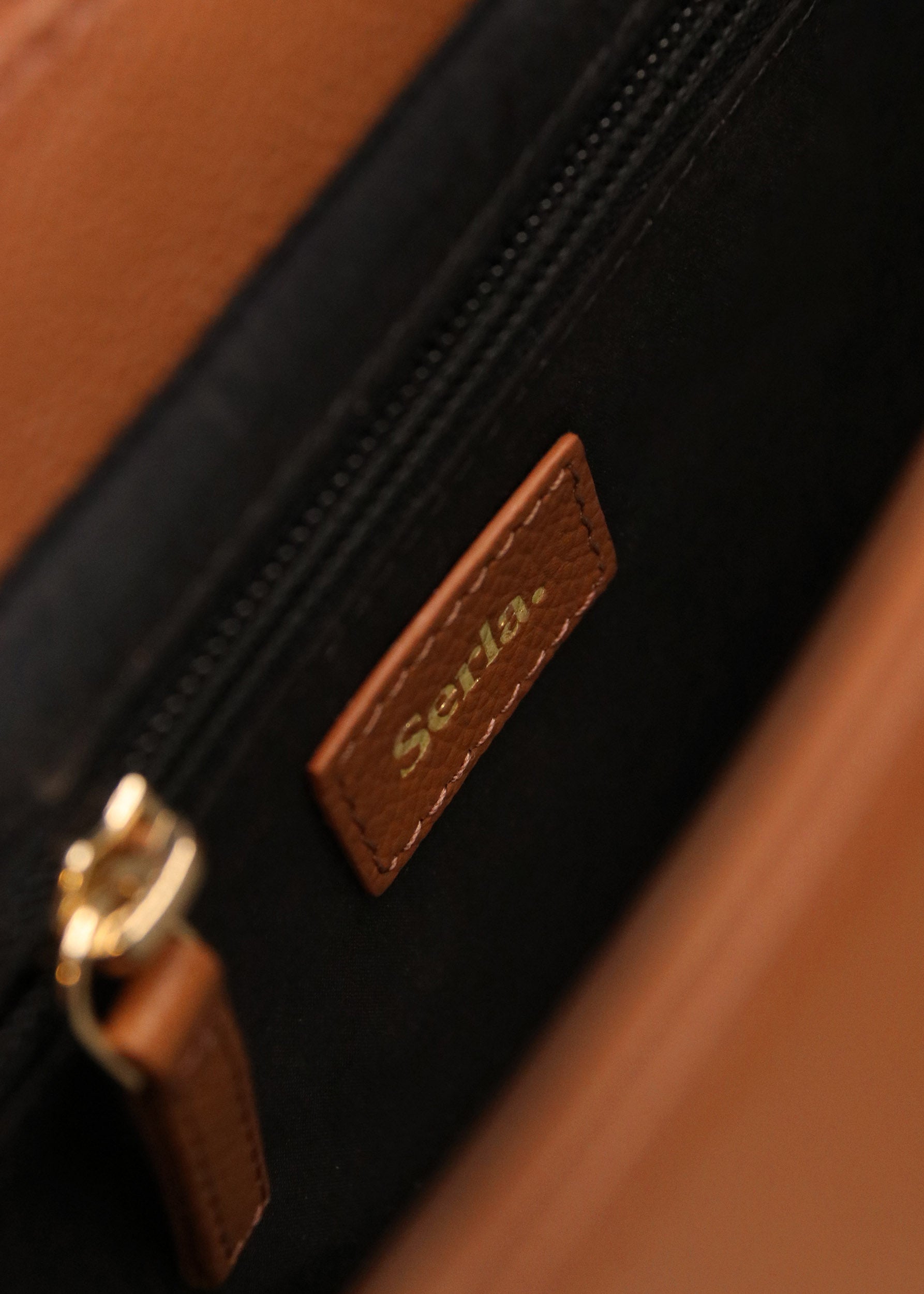 Elise Tan Leather Crossbody Bag